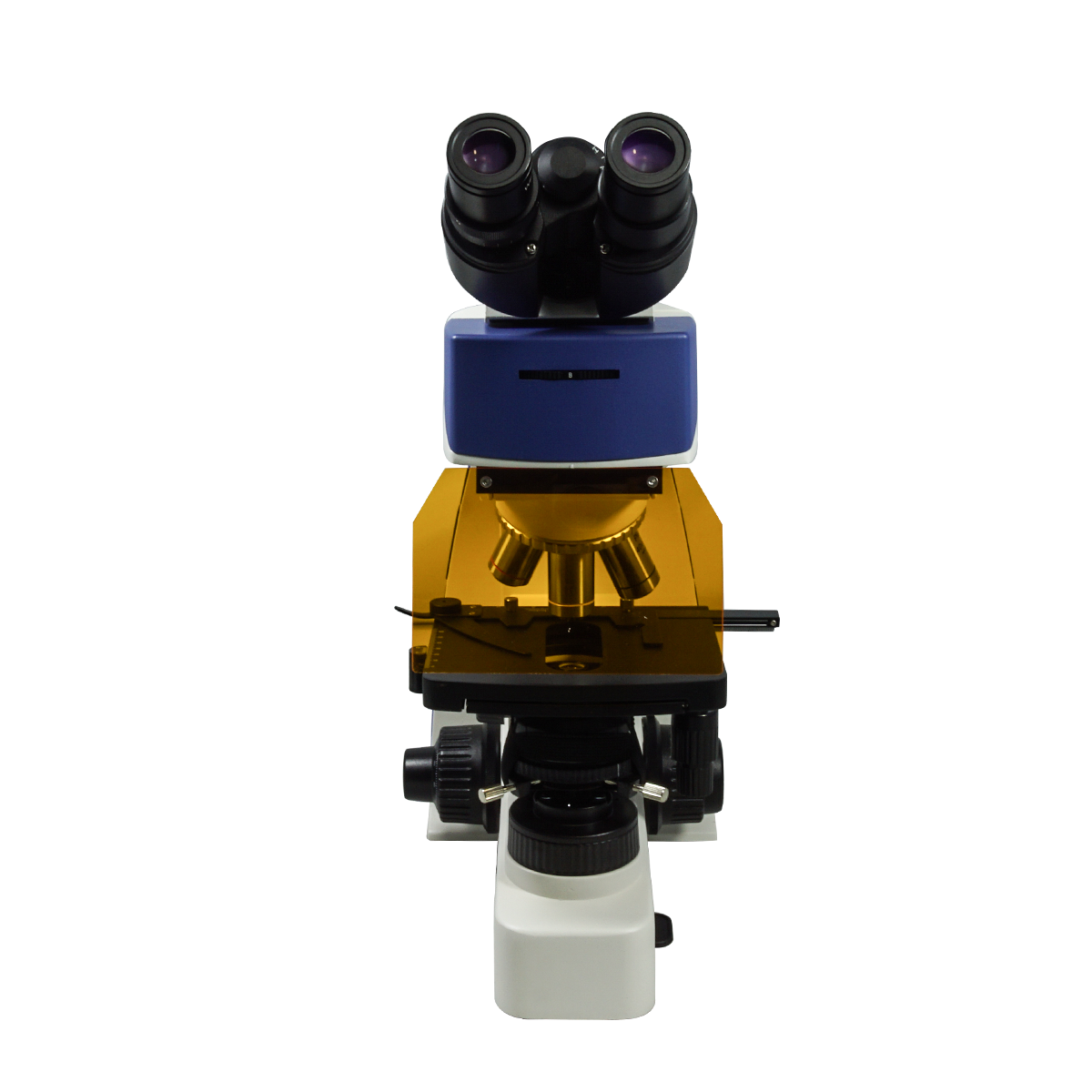 Fluorescence Microscope